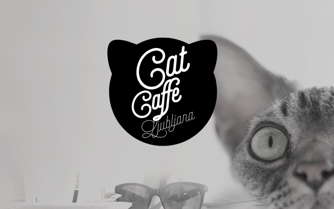 Cat Caffe Ljubljana
